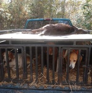 Meet your Posher, Adam